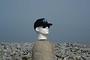 Rapper style baseball cap